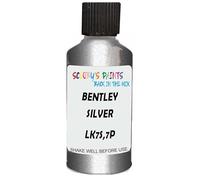 SCOOBYS PAINTS BACK IN THE MIX Touch Up Paint Compatible With Bentley Silver Tempest Metallic Lk7S,7P Scratch Fix Automotive Car (30Ml)