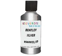 SCOOBYS PAINTS BACK IN THE MIX Touch Up Paint Compatible With Bentley Silver Tempest Mica 9560022,7P Scratch Fix Automotive Car (30Ml)