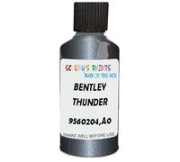 SCOOBYS PAINTS BACK IN THE MIX Touch Up Paint Compatible With Bentley Thunder Metallic 9560204,A0 Scratch Fix Automotive Grey Car (30Ml)