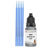SCOOBYS PAINTS BACK IN THE MIX Touch Up Paint Compatible With Bmw Brooklyn Grau Metallic C4P Scratch Fix Automotive Grey Car (10Ml)