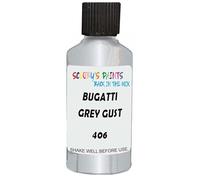 SCOOBYS PAINTS BACK IN THE MIX Touch Up Paint Compatible With Bugatti Grey Gust 406 Scratch Fix Automotive Car (30Ml)