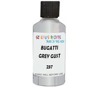 SCOOBYS PAINTS BACK IN THE MIX Touch Up Paint Compatible With Bugatti Grey Gust Interior 237 Scratch Fix Automotive Car (30Ml)