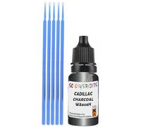 SCOOBYS PAINTS BACK IN THE MIX Touch Up Paint Compatible With Cadillac Charcoal Met Semi-Gloss Wa646H Scratch Fix Automotive Black Car (10Ml)