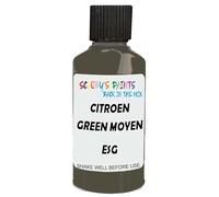 SCOOBYS PAINTS BACK IN THE MIX Touch Up Paint Compatible With Citroen Green Moyen Otan Esg Scratch Fix Automotive Car (30Ml)