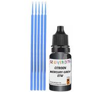 SCOOBYS PAINTS BACK IN THE MIX Touch Up Paint Compatible With Citroen Mercury Grey Metallic Etw Scratch Fix Automotive Car (10Ml)
