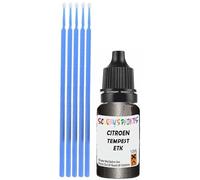 SCOOBYS PAINTS BACK IN THE MIX Touch Up Paint Compatible With Citroen Tempest Metallic Etk Scratch Fix Automotive Grey Car (10Ml)