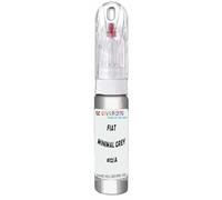 SCOOBYS PAINTS BACK IN THE MIX Touch Up Paint Compatible With Fiat Minimal Grey Metallic 612/A Scratch Fix Automotive Car (20Ml)