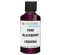 SCOOBYS PAINTS BACK IN THE MIX Touch Up Paint Compatible With Ford Blackberry Glaze Lrqexwa Scratch Fix Automotive Purple Car (30Ml)