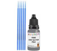 SCOOBYS PAINTS BACK IN THE MIX Touch Up Paint Compatible With Ford Grey Matter Fn5A Scratch Fix Automotive Car (10Ml)
