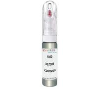SCOOBYS PAINTS BACK IN THE MIX Touch Up Paint Compatible With Ford Ice Storm Metallic X,Dgfewwa Scratch Fix Automotive Grey Car (20Ml)