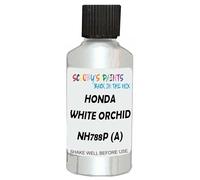 SCOOBYS PAINTS BACK IN THE MIX Touch Up Paint Compatible With Honda White Orchid Nh788P (A) Scratch Fix Automotive Car (30Ml)