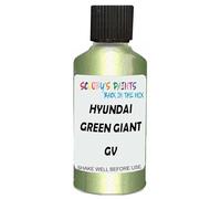 SCOOBYS PAINTS BACK IN THE MIX Touch Up Paint Compatible With Hyundai Green Giant Gv Scratch Fix Automotive Car (30Ml)
