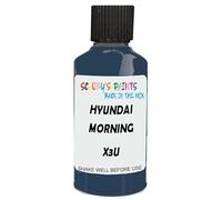 SCOOBYS PAINTS BACK IN THE MIX Touch Up Paint Compatible With Hyundai Morning Glory X3U Scratch Fix Automotive Blue Car (30Ml)