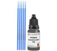 SCOOBYS PAINTS BACK IN THE MIX Touch Up Paint Compatible With Hyundai Shadow Grey Tkg Scratch Fix Automotive Car (10Ml)