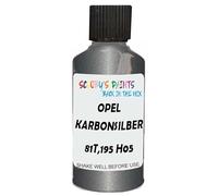 SCOOBYS PAINTS BACK IN THE MIX Touch Up Paint Compatible With Opel Karbonsilber Metallic 81T,195 H05 Scratch Fix Automotive Grey Car (30Ml)