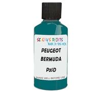 SCOOBYS PAINTS BACK IN THE MIX Touch Up Paint Compatible With Peugeot Bermuda Blue P3Sd Scratch Fix Automotive Car (30Ml)