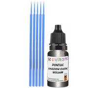 SCOOBYS PAINTS BACK IN THE MIX Touch Up Paint Compatible With Pontiac Shadow Dark Grey Mica Metallic Wa238M Scratch Fix Automotive Car (10Ml)