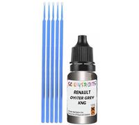 SCOOBYS PAINTS BACK IN THE MIX Touch Up Paint Compatible With Renault Oyster Grey Pearl Metallic Kng Scratch Fix Automotive Silver Car (10Ml)