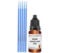 SCOOBYS PAINTS BACK IN THE MIX Touch Up Paint Compatible With Rover Kinver Sand Eab Scratch Fix Automotive Orange Car (10Ml)