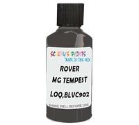 SCOOBYS PAINTS BACK IN THE MIX Touch Up Paint Compatible With Rover Mg Tempest Grey Mat Loq,Blvc902 Scratch Fix Automotive Car (30Ml)