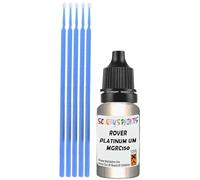 SCOOBYS PAINTS BACK IN THE MIX Touch Up Paint Compatible With Rover Platinum Um Mgrc150 Scratch Fix Automotive Silver Car (10Ml)