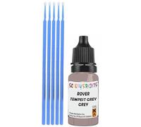 SCOOBYS PAINTS BACK IN THE MIX Touch Up Paint Compatible With Rover Tempest Grey 2 Scratch Fix Automotive Car (10Ml)