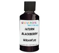 SCOOBYS PAINTS BACK IN THE MIX Touch Up Paint Compatible With Saturn Blackberry Pearl Wa549F,82 Scratch Fix Automotive Black Car (30Ml)
