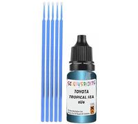 SCOOBYS PAINTS BACK IN THE MIX Touch Up Paint Compatible With Toyota Tropical Sea Metallic 8U6 Scratch Fix Automotive Blue Car (10Ml)