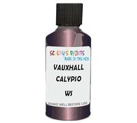 SCOOBYS PAINTS BACK IN THE MIX Touch Up Paint Compatible With Vauxhall Calypso Red/Calypso Red Ws Scratch Fix Automotive Car (30Ml)