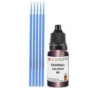 SCOOBYS PAINTS BACK IN THE MIX Touch Up Paint Compatible With Vauxhall Calypso Red/Calypso Red Ws Scratch Fix Automotive Car (10Ml)