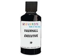 SCOOBYS PAINTS BACK IN THE MIX Touch Up Paint Compatible With Vauxhall Executive Black 19 Scratch Fix Automotive Car (30Ml)