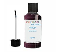 SCOOBYS PAINTS BACK IN THE MIX Touch Up Paint For Citroen Whisper Eru Metallic