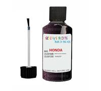 SCOOBYS PAINTS BACK IN THE MIX Touch Up Paint For Honda Pirates Black Nh605P Metallic