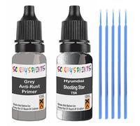 SCOOBYS PAINTS BACK IN THE MIX Touch Up Paint For Hyundai Shooting Star T5R Scratch Stone Chip Repair With Grey Primer