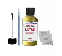 SCOOBYS PAINTS BACK IN THE MIX Touch Up Paint For Lotus Autumn Gold B116 Metallic