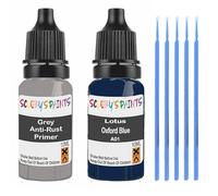 SCOOBYS PAINTS BACK IN THE MIX Touch Up Paint For Lotus Oxford Blue A01 Scratch Stone Chip Repair With Grey Primer