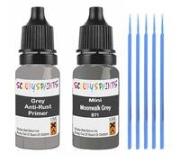 SCOOBYS PAINTS BACK IN THE MIX Touch Up Paint For Mini Moonwalk Grey B71 Scratch Stone Chip Repair With Grey Primer