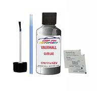 SCOOBYS PAINTS BACK IN THE MIX Touch Up Paint For Opel/Vauxhall Astra Silver Lake 179 2010-2016 30Ml Bottle Brush Scratch Stone Chip Repair Pen