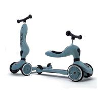 Scoot and Ride Highwaykick 1 2in1 Scooter Steel