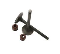 Scooter 2PC Intake and Exhaust Valves for SYM 125 Orbit Fiddle 1 Megalo Super Duke Symply Tonik 125cc 4-Stroke
