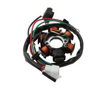 Scooter 6 Coil Magneto Stator Compatible With Fancy Rapido Vision 50 DJ50 Fever Kb 50cc 2T