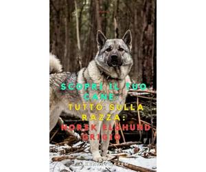 Scopri il tuo Cane:Tutto sulla razza: Norsk elghund grigio
