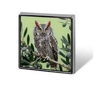 Scops Owl on Olive Branch Lapel Pin Fashion Brooch Pin Cute Button Badges Square Button Pins Enamel Pins Metal Pinback for Hat Shirt Clothing Bags Decoration