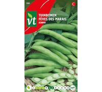 Scorpio Swamp Beans Seeds per gram - A real treat - 1,5 g - Seeds per gram: 40
