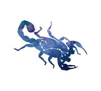 Scorpio Sweatshirt - White - XXL - White