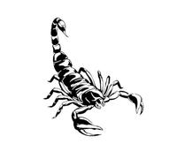 Scorpion Waterproof Temporary Tattoo Stickers, Long-lasting Waterproof For One To Two Weeks, For Man And Women, For Arm, Leg(1pcs)