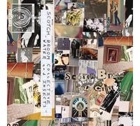 Scotch Broom Collective - Insects And Water [Musikkassette] [CASSETTE]