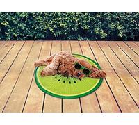 Scotrade Pet Cooling Fruit Mat Helping To Keep Them Cool and Comfortable In Hot Weather - Kiwi
