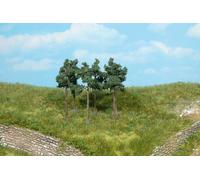 Scots Pine Trees 6cm (6)