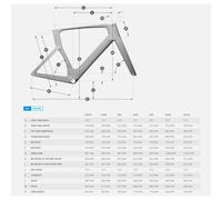 Scott Foil RC 20 Road Bike Black - L